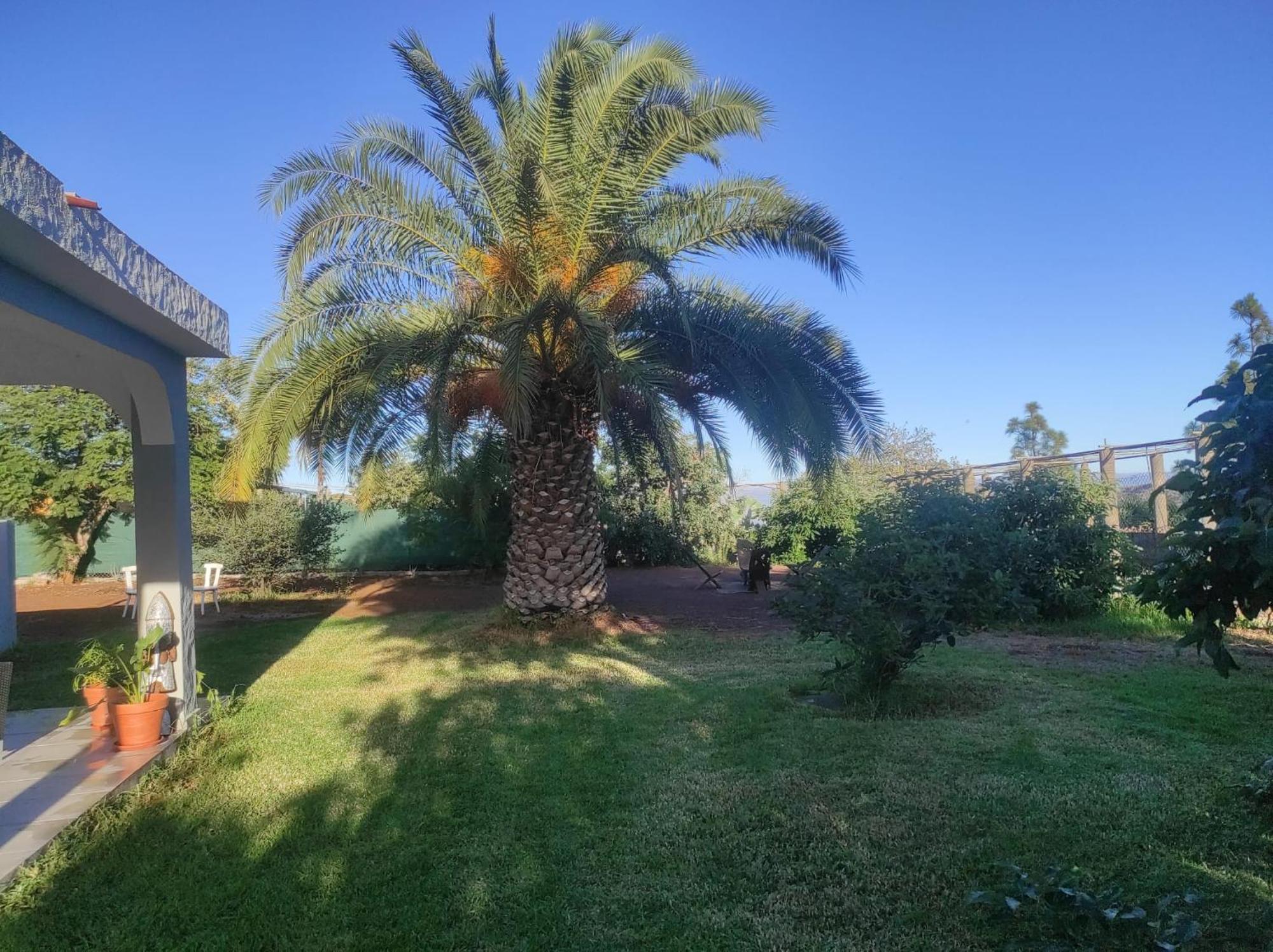 Cottage Gran Canaria Completely Renovated With Jacuzzi Valsequillo de Gran Canaria Dış mekan fotoğraf